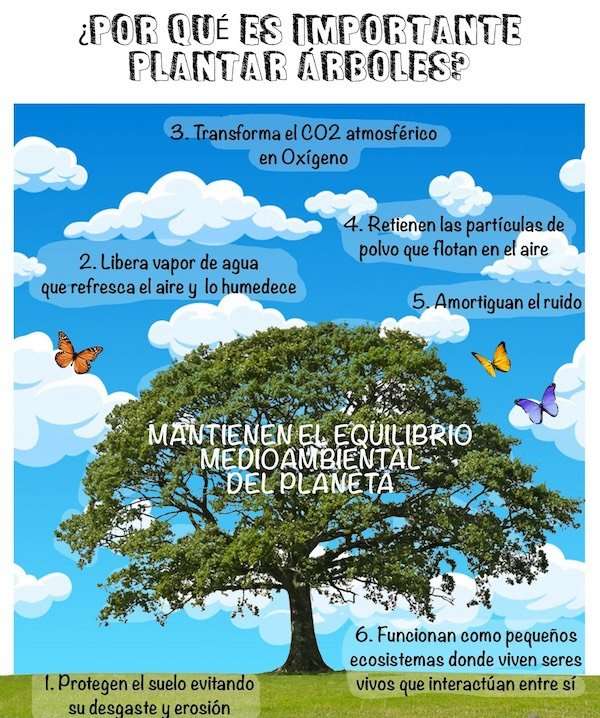 Cartel CEIP Ntra Sra Belén - Gines explicando la importancia de plantar árboles